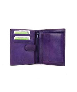 Alternative view of L 1050