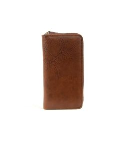 Alternative view of L 1069